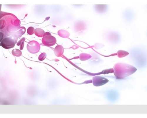 凯泉泵选型手册pdf_“山行——王界山画展”在中国美术馆隆重开幕