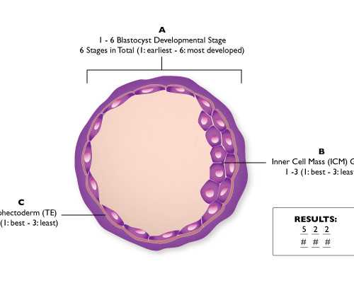 微商天天晒图香港验血准确吗_香港验血要什么条件才准_验血查性别是不是骗人