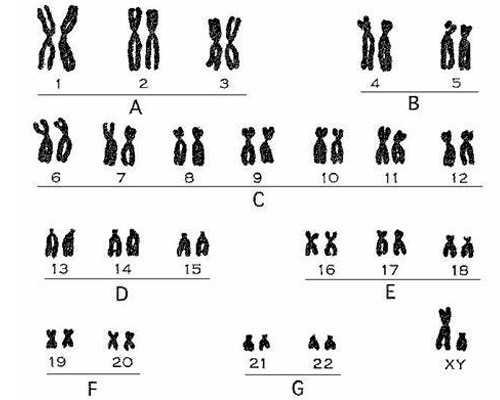 香港验血在哪查结果_香港现代医学专科正规吗_告诉你不知道的那些事儿!