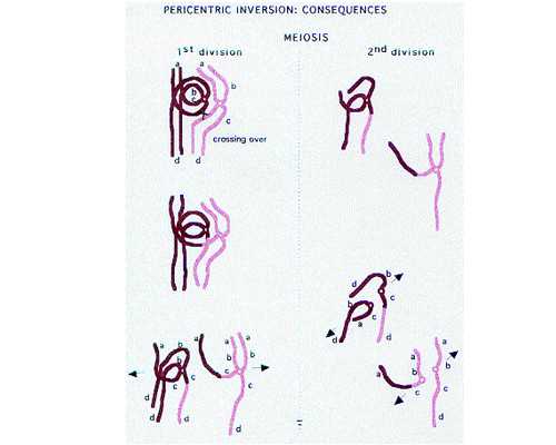 邮寄香港验血怎么不被骗_香港验血周六_验血查男女需要什么流程!