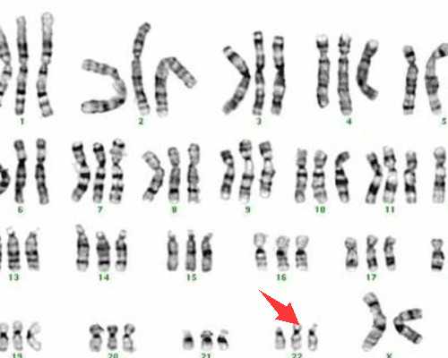 香港验血中介哪个靠谱_2026开学第一课读后感开学第一课2026今年是什么80周年纪