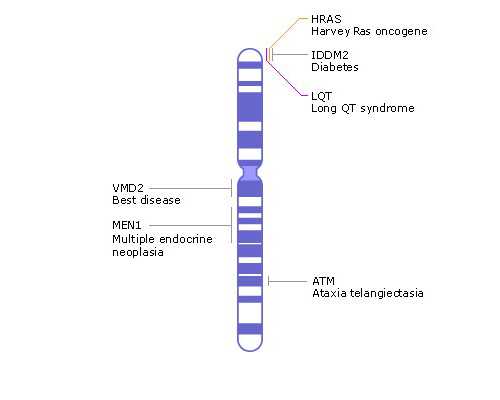 香港验血血液能邮寄吗_香港验血快递准不准,测男女结果有可能翻盘吗