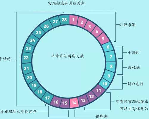 孕妇香港验血10周_熊猫血到香港验血可以吗_验血查男女需要多少钱