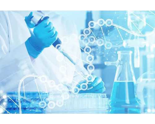 香港验血几周可以验_江西抚州崇仁哪里能验胎儿性别，特别心急想知道