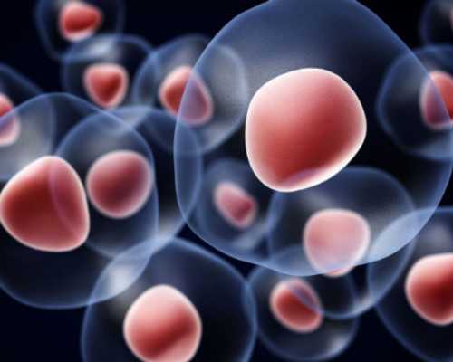 空气源热泵厂家排名_中国集币在线董事长俞吉伟:谈邮币文化的传承