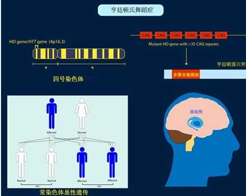 香港验血最少要几周_抽血胎儿亲子鉴定_验血查性别,实例分享!