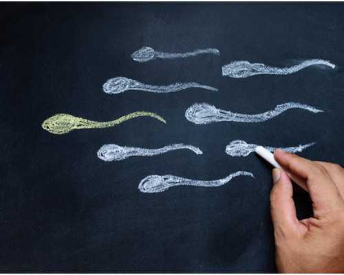 怀孕香港验血查y_有没有香港验血报告单建议再次B超_胎儿性别真的会翻盘吗!