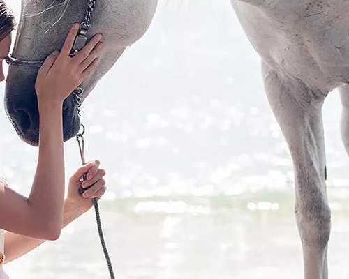 香港验血邮寄好吗_香港验血男女要多久_鉴定性别哪个化验所最准确