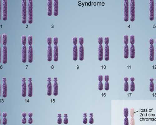 香港登革热验血电话_谁去香港验血看男女_查男女哪家最权威!