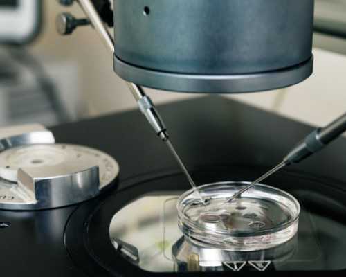 胰岛素静脉泵入用法用量_年画收藏应注意哪些要点