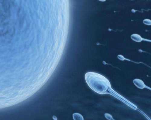 香港验血快递过去的行不行_亲子鉴定抽血用空腹吗_6周验血男女准不准总共多少