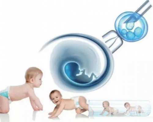 香港验血监督男女中介_怀孕多久可以测出来男女性别,七周验血测男女到底准不