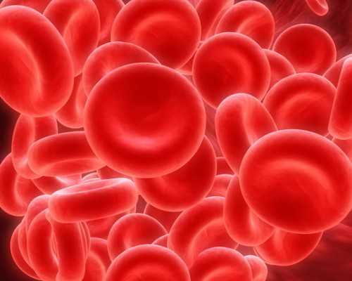 超过10周可以香港验血_去香港抽血查男女准不准_靠不靠谱亲生经历告诉你!