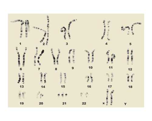 香港验血男女骗局_香港验血测胎儿型多少钱_dna胎儿详细流程是什么!