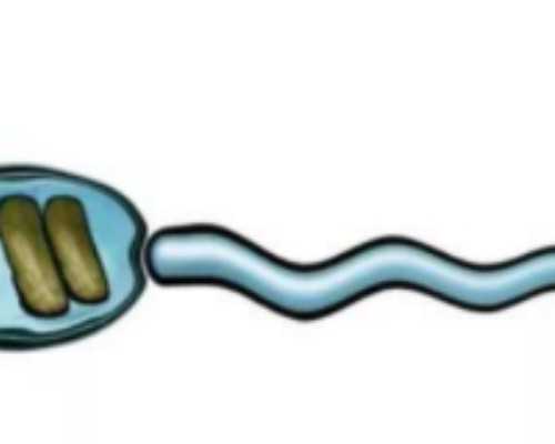 香港验血邮寄步骤_怀孕抽血送香港准吗,胎儿性别几天出可以出结果？