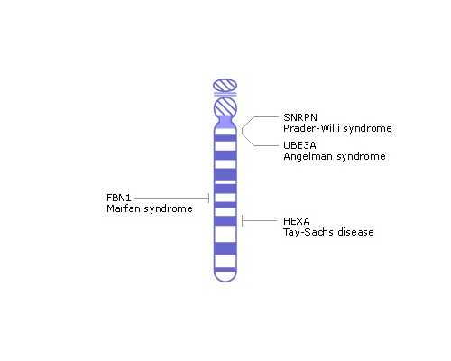 川崎主泵铭牌怎么看_当代工艺美术评论体系亟待建设