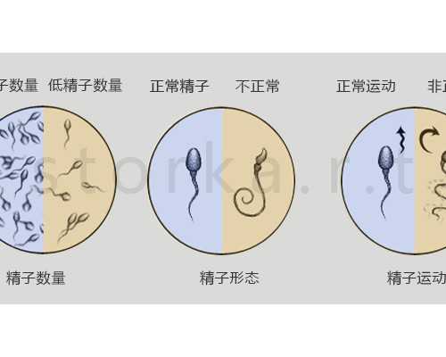 香港验血要怀孕10周_香港权威验血机构排行?告诉你香港验血是不是骗局