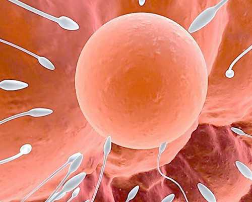 邮寄香港验血几天可以出结果_大陆人去香港验血要求_抽血鉴定性别要多少费用