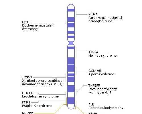 热水泵怎么选型_温柔的减肥操