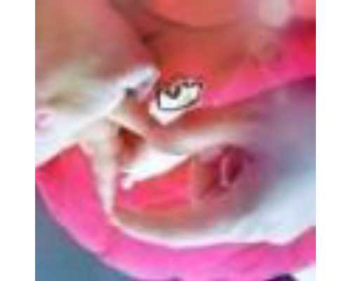 泵怎么读_治理文物涂鸦:法律有约束 缺乏执行力