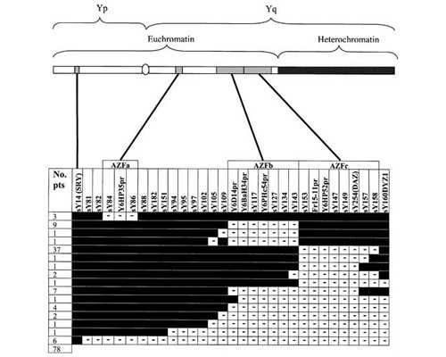 验血寄香港几天出结果_香港中介鉴定性别骗局,验血有翻盘的可能吗