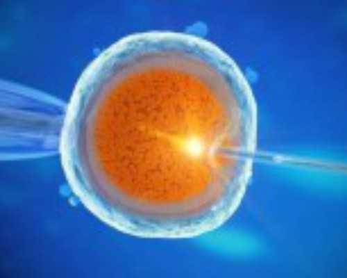 离心泵过载_北京市文联书画创展基地揭牌仪式在颐和园举行