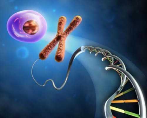 香港验血男女结果图_香港验血检测男女结果不一样,抽血验男女有多少翻盘