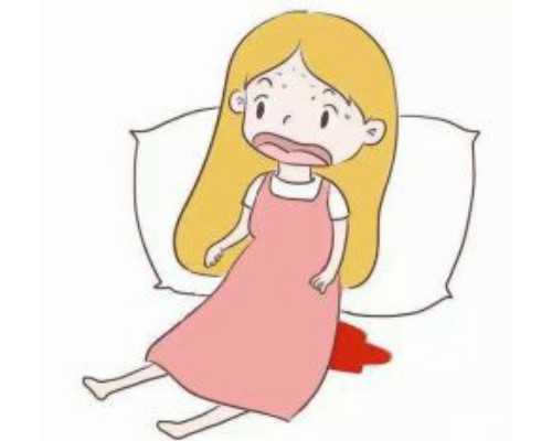 泵感健身pumpfit价格_古代书论中的“虎”