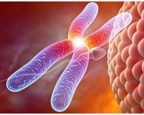 香港验血来回一天可以吗_内地孕妇去香港性别鉴定_怀孕几周去香港验血查男女