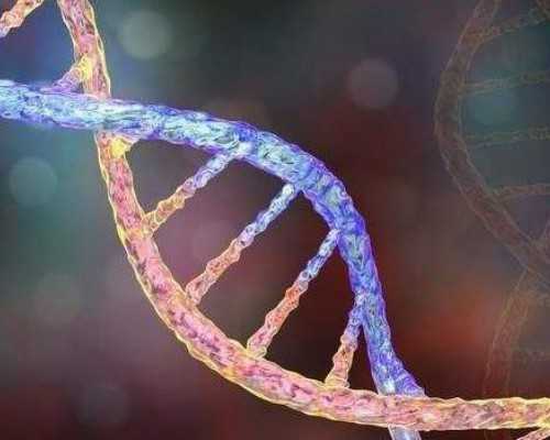 香港验血寄血注意事项_寄香港验血查性别多久知道结果_测男女结果有可能翻盘