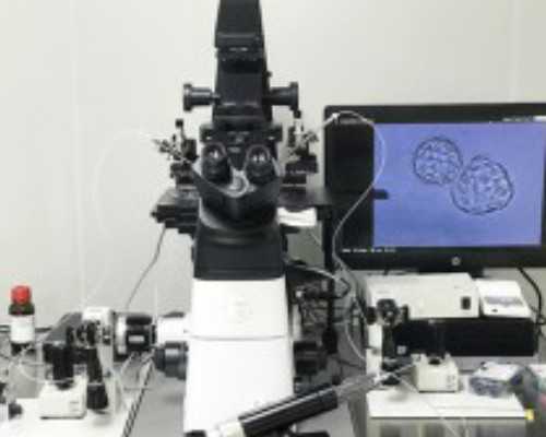 12周还能香港验血吗_香港验血查男女的诊所_亲历者用事实来讲述真相