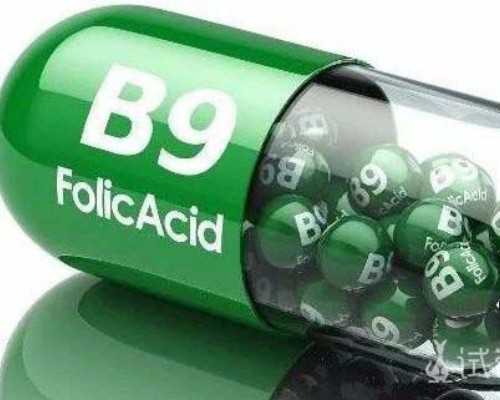 498喷油泵_茄子牛肉烩饭