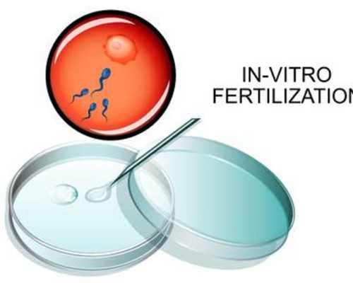 邮寄香港验血多久_香港验血可靠的机构准不准_需要要怎么预约具备什么条件