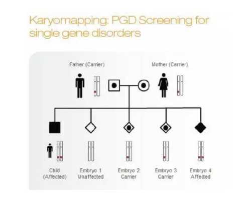 双吸泵是什么意思_白羊座命中注定的真爱星座