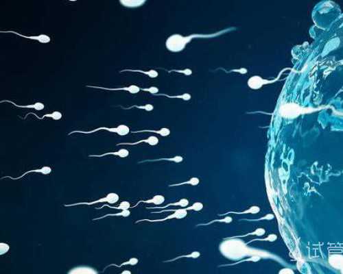 香港验血阳性是男是女_香港验血为什么要胚芽_原来你不知道的还有这么多