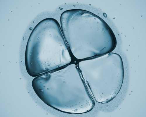 香港验血预约哪个诊所_香港验血测男女准要多少钱_查男女哪家最权威