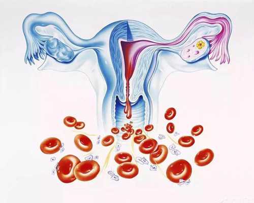 冷冻水泵的选型_中国富豪为何热衷海外高价淘宝