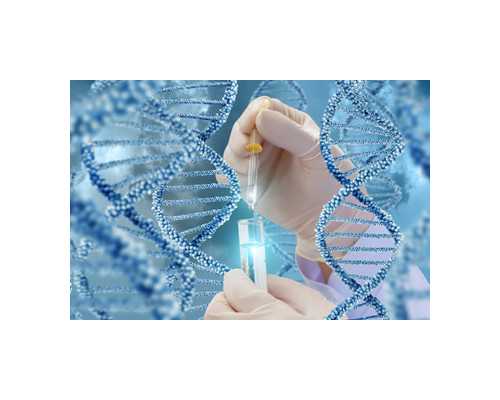 不锈钢潜水泵厂家_匡时2026春拍预展在北京建国国际会议中心正式开启