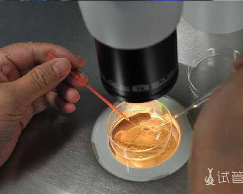 液压泵原理图_爱天秤女到骨子里的星座男