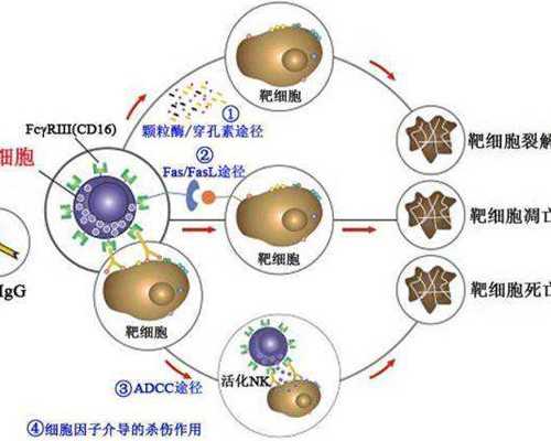 香港验血检测男女上水_到香港验血准确率高吗?最迟几个月?