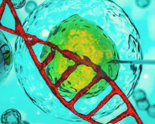 超过7周香港验血准不准_香港验血双胞胎可以查男女吗_鉴定性别是真还是假!