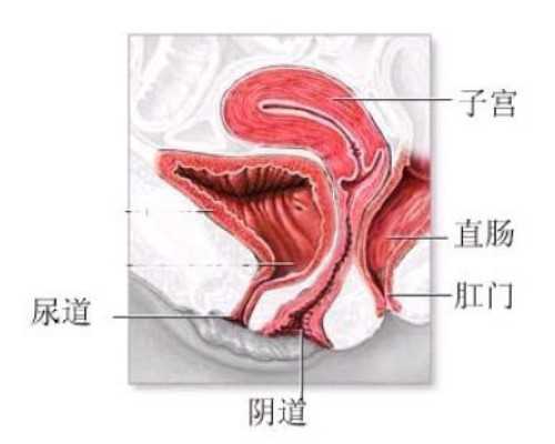 香港验血几天比较准_香港验血报告单会假吗_给大家分享我的真实经历!