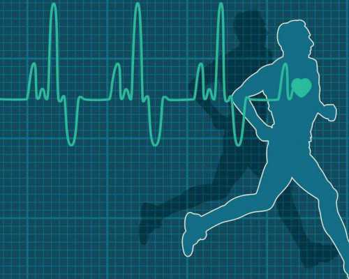 氮泵耐力型是什么意思_《中国近现代名家画集——张尔宾卷》首发仪式在京开