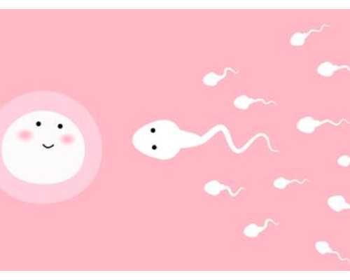 孕酮低会影响香港验血报告_y染色体在母体血液多久消失,需求预定吗具有什么条