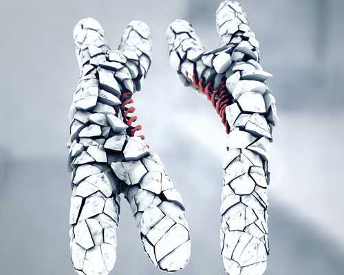 香港安心邮寄验血_以“我做出了一个非常艰难的决定”开头，并包含“妖气来