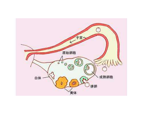 液压泵的英文单词_浙江历史文化名人，在他（她）们的笔下重生