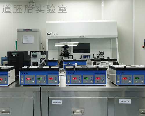 清水泵型号及参数_文人制砚钱途可观