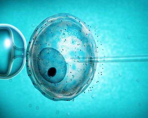 香港验血邮寄可信吗_香港妇健中心验血15个d_查男女哪个验血机构比较准