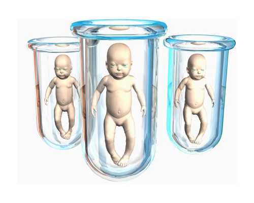 还是香港验血准_50天化验血测男女准吗_测性别会不会翻盘