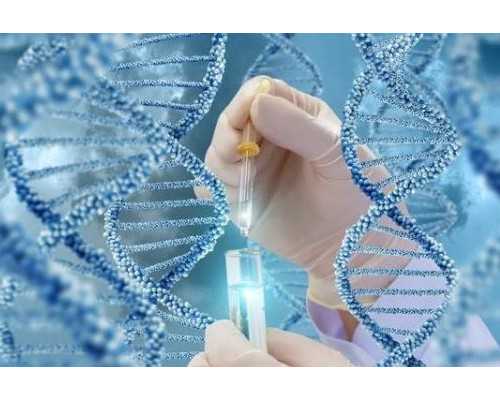 孩子已出生 怀孕在香港验血_预约香港验血有不准的吗_你想知道的都在这里